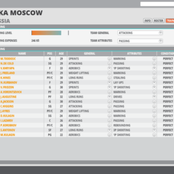 World Basketball Manager 2 (WBM2)