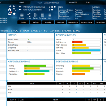 Franchise Hockey Manager (FHM) 2