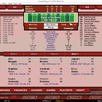 Football Mogul 17
