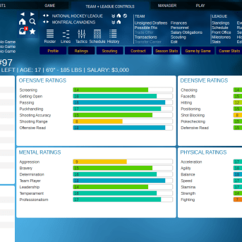 Franchise Hockey Manager (FHM) 2