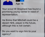 Hockey Agent