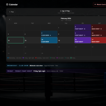 Boxing World Simulator