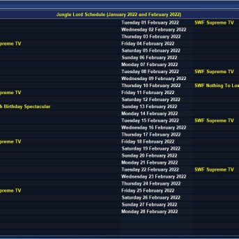 Total Extreme Wrestling 9 TEW IX
