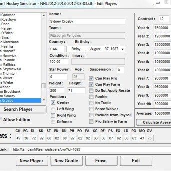 SimonT Hockey Simulator (STHS)