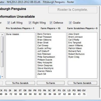 SimonT Hockey Simulator (STHS)