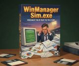 WinManagerSim