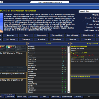 Total Extreme Wrestling 2020 TEW2020