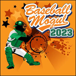 Baseball Mogul 2010 PC Game - Original Owner