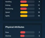 Cantera Football Manager