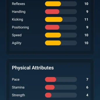 Cantera Football Manager