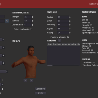 MMA Simulator (Version 1)