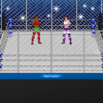 Championship Wrestling Promoter