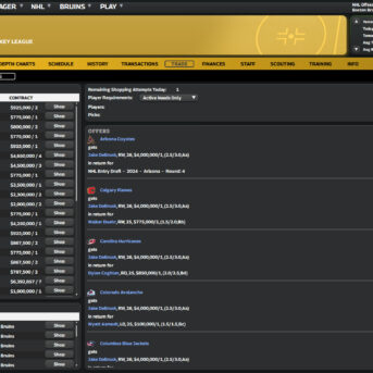 Franchise Hockey Manager (FHM) 10