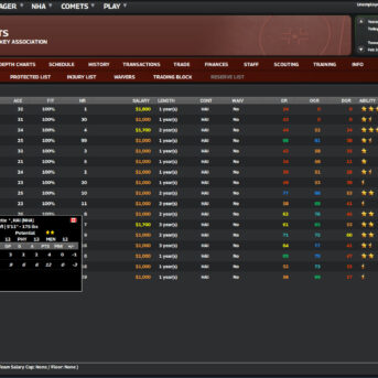 Franchise Hockey Manager (FHM) 10