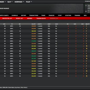 Franchise Hockey Manager (FHM) 11