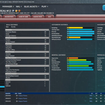 Franchise Hockey Manager (FHM) 9