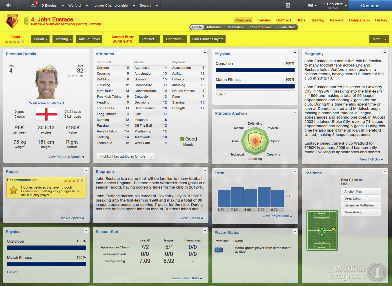 Football Manager 2013 Player View