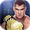 Write A Review – Fight Team Rivals