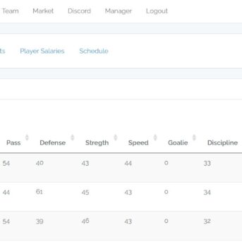 Hockey Manager League