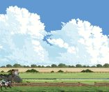 Horse Racing Manager