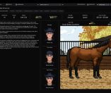 Horse Racing Manager