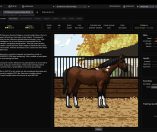 Horse Racing Manager