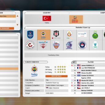 International Basketball Manager