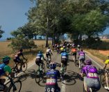 Pro Cycling Manager 2025