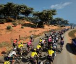 Pro Cycling Manager 2025