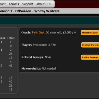 Ultimate Hockey Simulator (UHS)
