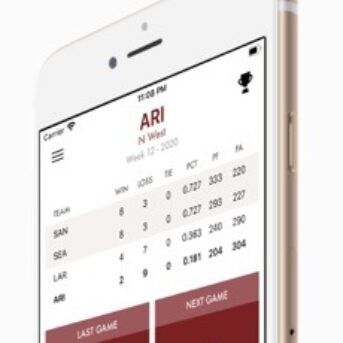 Pocket GM 20 Football