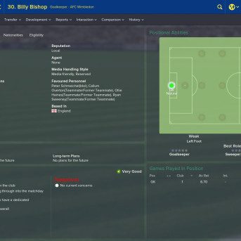 Football Manager (FM) 2015