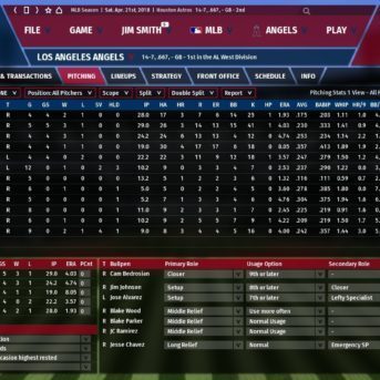 Out of the Park Baseball (OOTP 19)