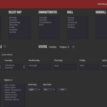 MMA Simulator (Version 1)
